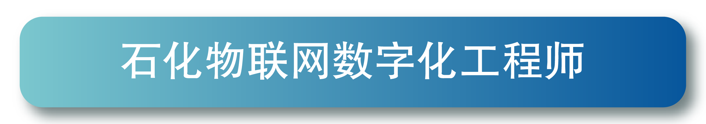 石化物联网数字化工程师