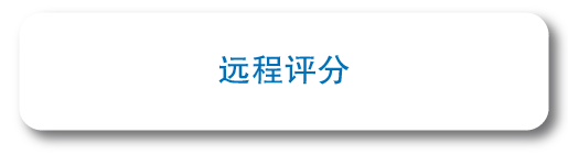 远程评分